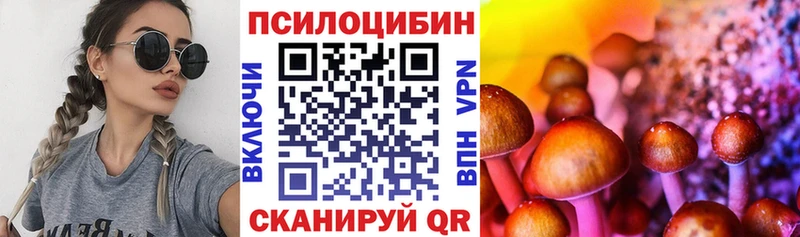 купить  цена  Артёмовский  Псилоцибиновые грибы MAGIC MUSHROOMS 